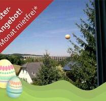 +++ Gemütliche Single-DG-Wohnung mit tollem Ausblick +++ - Reichenbach im Vogtland Obermylau