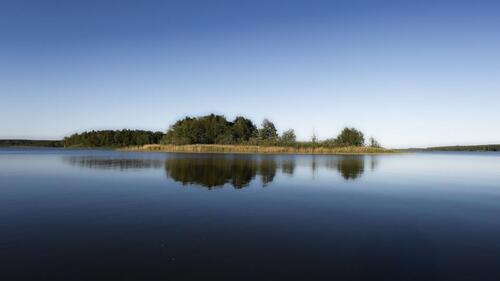 Foto - andere in Springe