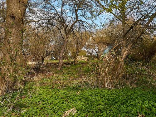 Foto - 4.5 Zimmer Einfamilienhaus in Schwentinental