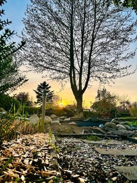 Foto - Garten abzugeben - 2.000,00&nbsp;EUR Kaltmiete, ca.&nbsp; 0,00&nbsp;m&sup2;