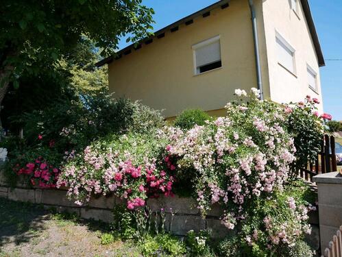 Foto - andere zur Miete in Maroldsweisach