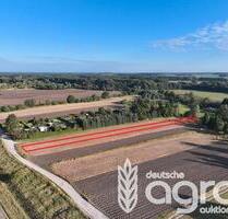 Kleine stadtnahe Ackerfläche für Jedermann in BoizenburgElbe - auch für Nicht-Landwirte! - Boizenburg/Elbe
