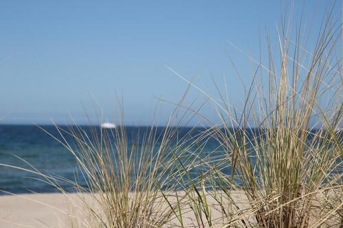 Foto - Etagenwohnung in Timmendorfer Strand zur Miete