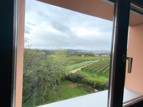 Foto - Etagenwohnung zur Miete in Geisenheim