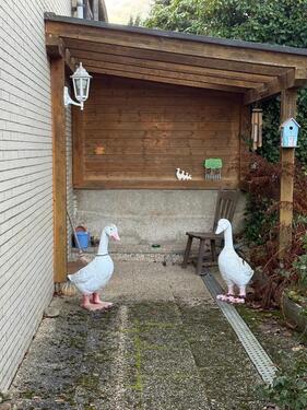 Foto - 5 Zimmer Einfamilienhaus zur Miete in Wuppertal