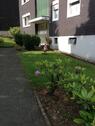Foto - Etagenwohnung in Remscheid