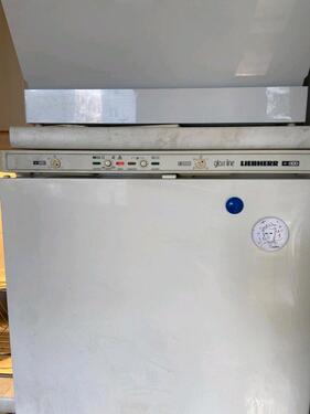 Foto - andere in Dresden