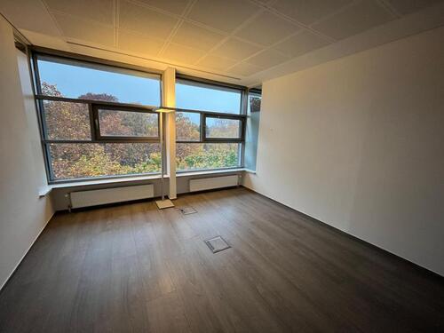 Foto - andere in Hamburg