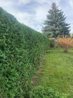 Foto - Garten abzugeben - DRINGLICH - 600,00 EUR Kaltmiete, ca.  0,00 m²