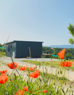 Foto - Tiny Haus mit 2450 m2 Grundstück