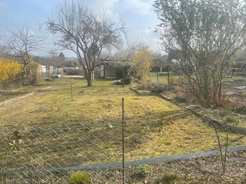 Foto - Schrebergarten abzugeben 'Gartenfreunde Galgenberg '