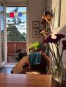 Foto - Etagenwohnung zur Miete in Leipzig