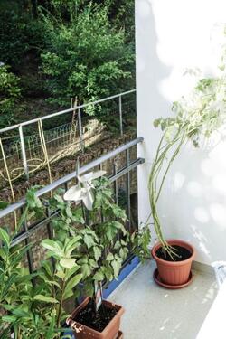 Foto - Schöne Altbauwohnung mit hohen Decken und großem Balkon am Park
