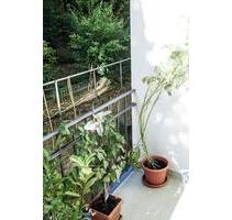Schöne Altbauwohnung mit hohen Decken und großem Balkon am Park - Wuppertal Unterbarmen