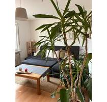 Attraktive 2-Zimmer-Wohnung mit eigenem Eingang in Niedervellmar