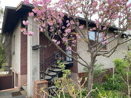 Foto - Etagenwohnung zur Miete in Crinitz
