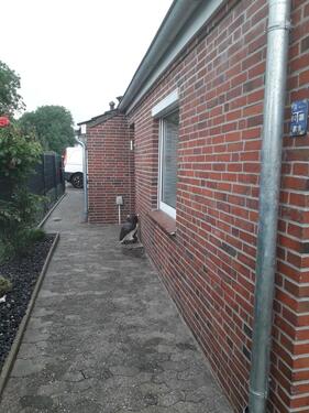 Foto - Einfamilienhaus zum Kaufen in Upgant-Schott