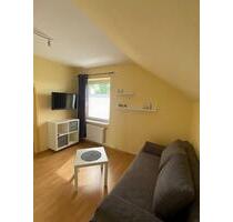 Neu möblierte schöne helle 1-Zimmerwohnung 28 qm 29633 Munster