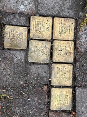 Foto - Einfamilienhaus zum Kaufen in Ottenstein