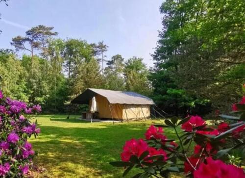 Foto - Romantisches Safarizelt (2p) mit Bad