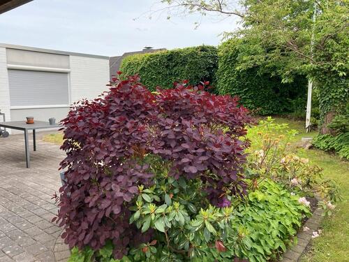 Foto - 4 Zimmer Einfamilienhaus in Eckernförde