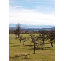 Einliegerwohnung - 820,00&nbsp;EUR Kaltmiete, ca.&nbsp; 60,00&nbsp;m&sup2; in Deggenhausertal (PLZ: 88693)