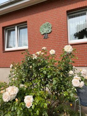 Foto - 5 Zimmer Doppelhaushälfte in Lübstorf