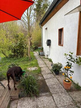 Foto - 3 Zimmer Einfamilienhaus zum Kaufen in Duisburg