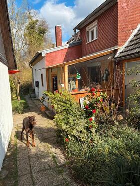 Foto - 3 Zimmer Einfamilienhaus in Duisburg