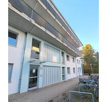 Lichtdurchflutete 3 Zimmerwohnung in Langenhorn - Wentzel-Dr. - Hamburg