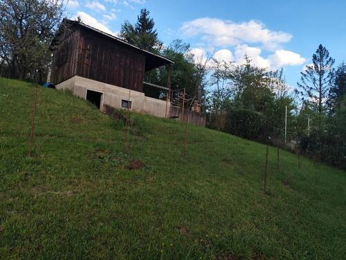 Foto - 10 Zimmer Mehrfamilienhaus, Wohnhaus in Esslingen am Neckar