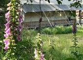 Foto - Glamping an der schönsten Stelle in Brabant