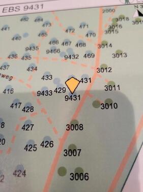 Foto - Partnerbaum im Friedwald Ebermannstadt