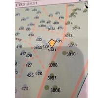 Partnerbaum im Friedwald Ebermannstadt - Rotthalmünster