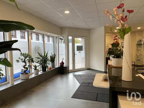 Foto - andere in Hausach