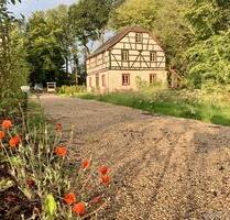 Houverath: Miete, freistehendes Haus 147 m², einzigartiges Wald-Wiesen-See-Grundstück 6.600 m² ... - Bad Münstereifel