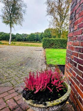 Foto - 4 Zimmer Etagenwohnung in Aurich