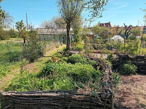 Foto - Grundst&uuml;ck in Gotha