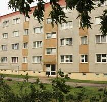 Frisch renovierte 3 Raum Wohnung mit großem Balkon - Warin
