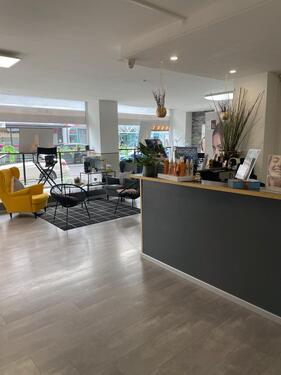 Foto - andere in Singen (Hohentwiel)