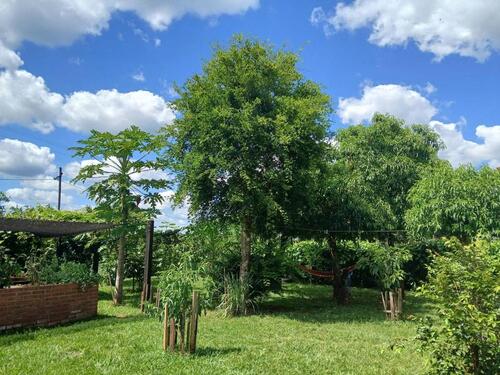 Foto - andere in Gießen zur Miete