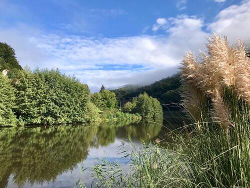 Foto - andere in Fischbach bei Dahn