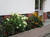 Foto - Etagenwohnung in Rötgesbüttel