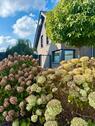 Foto - Einfamilienhaus in Bedburg-Hau zum Kaufen