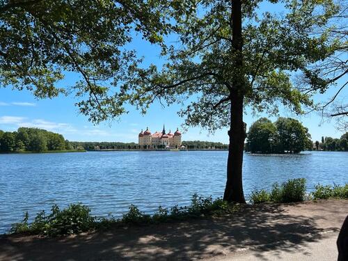 Foto - andere zur Miete in Moritzburg