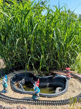 Foto - Grundst&uuml;ck in Senftenberg zur Miete