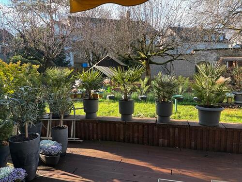 Foto - 3,5 Zimmer Eigentumswoh. zu verkauf. in Wiesbaden Bierst.v privat