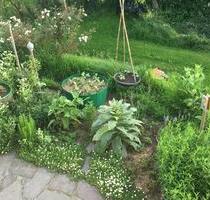 Räume als Mal-Atelier Kreativ-Raum - Neukirchen vorm Wald
