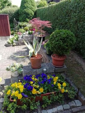 Foto - Grundst&uuml;ck in Weida