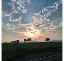 3 ZKB , Wintergarten, EBK - 650,00&nbsp;EUR Kaltmiete, ca.&nbsp; 65,00&nbsp;m&sup2; in Frielendorf (PLZ: 34621)